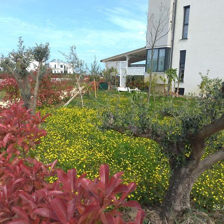 Welcome Beach Apartment Hamallaj Exterior photo