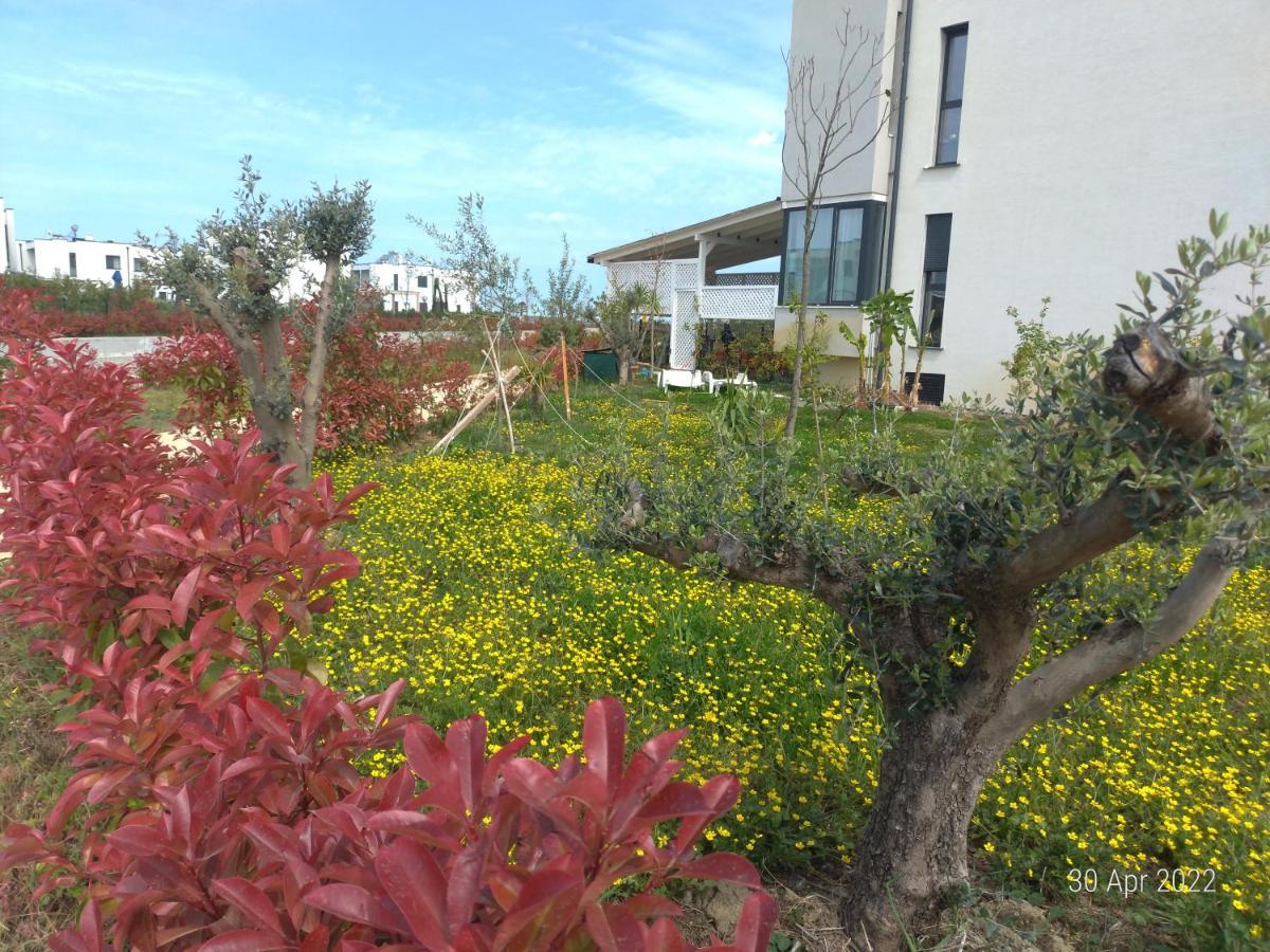 Welcome Beach Apartment Hamallaj Exterior photo